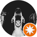 Marco Mingione profile picture